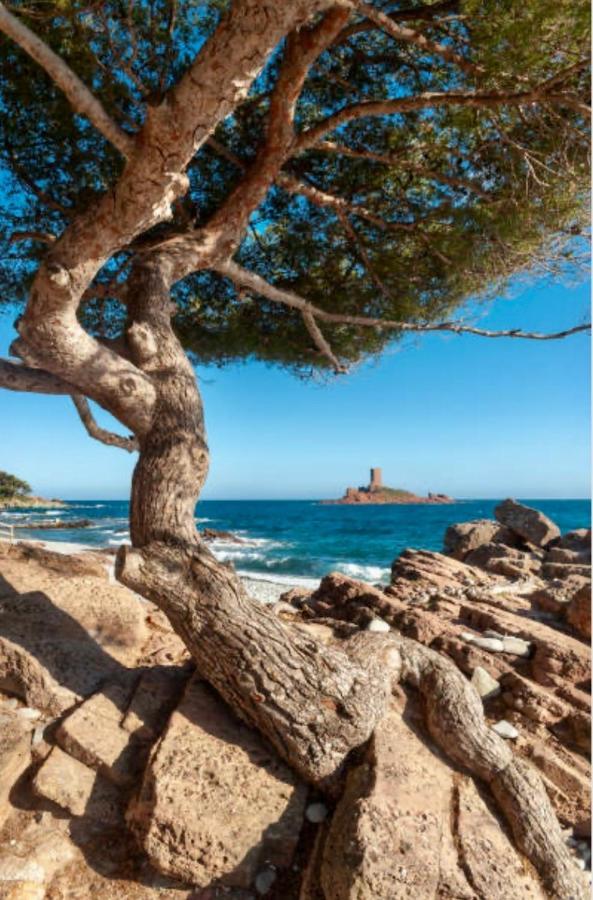 Le Semaphore Saint-Raphael (Var) Exterior foto